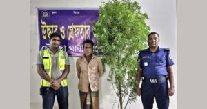 ড্রাগন বাগান থেকে ৯ ফুট গাঁজার গাছ জব্দ, কৃষক গ্রেপ্তার