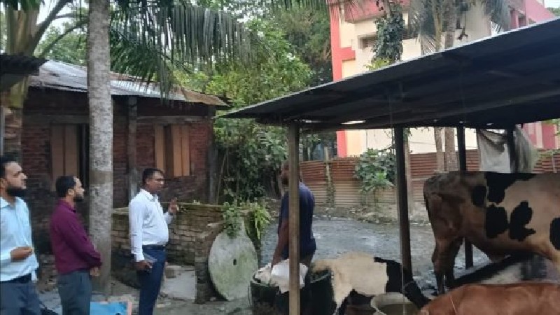 চাঁদপুরে পরিবেশ দূষণের দায়ে খামারিকে ১০ হাজার টাকা জরিমানা